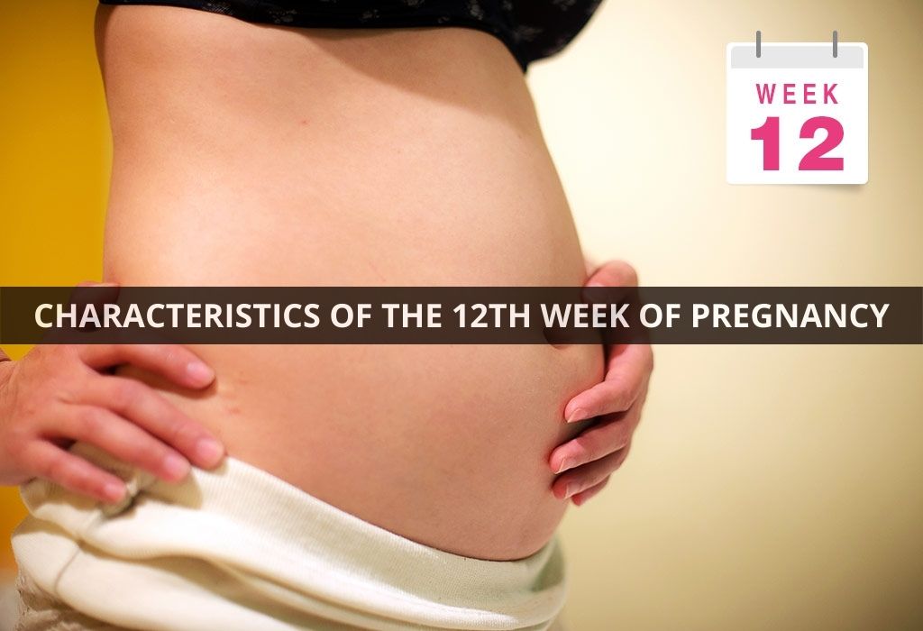CHARACTERISTICS OF THE 12TH WEEK OF PREGNANCY