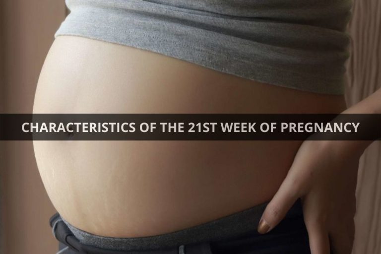 CHARACTERISTICS OF THE 21ST WEEK OF PREGNANCY