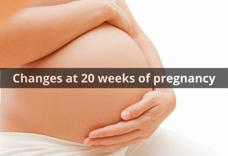 Changes at 20 weeks of pregnancy