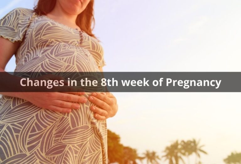 Changes in the 8th week of pregnancy