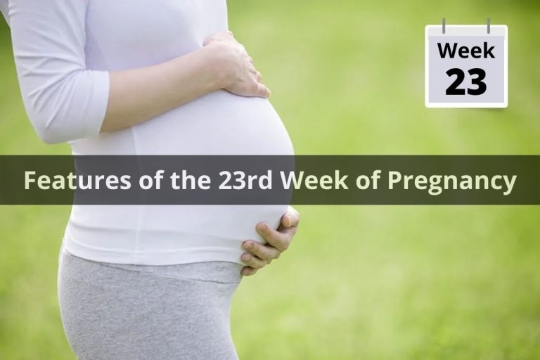 Features of the 23rd Week of Pregnancy