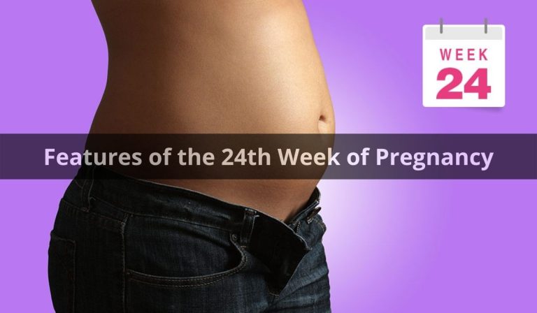 Features of the 24th Week of Pregnancy