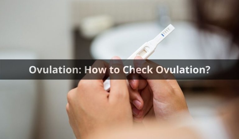 Ovulation: How to Check Ovulation?