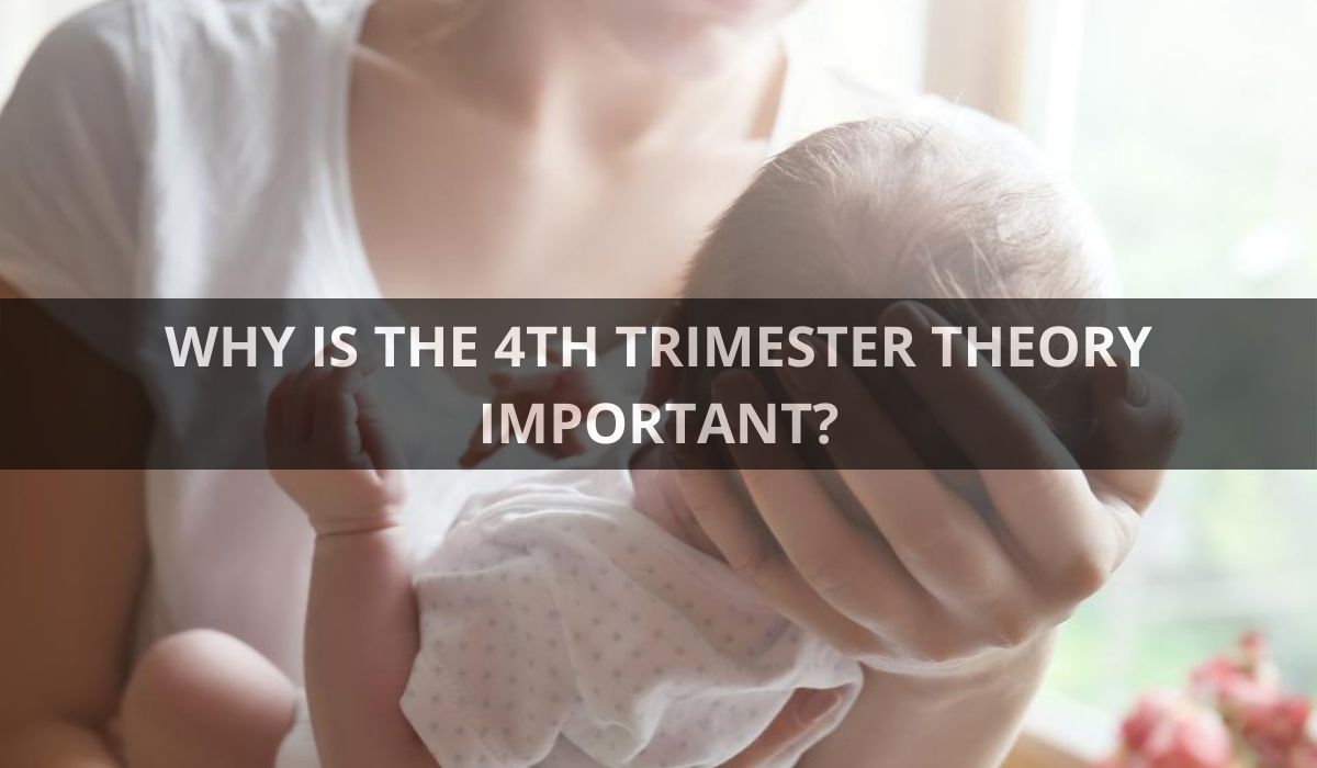 WHY IS THE 4TH TRIMESTER THEORY IMPORTANT?