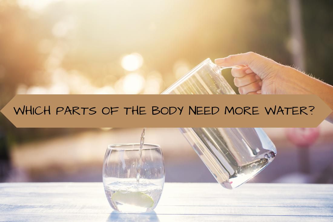 WHICH PARTS OF THE BODY NEED MORE WATER?