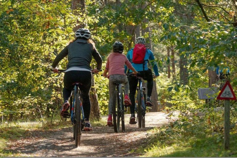 Team up for a family cycling holiday