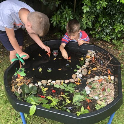 plants and water in Tuff Tray