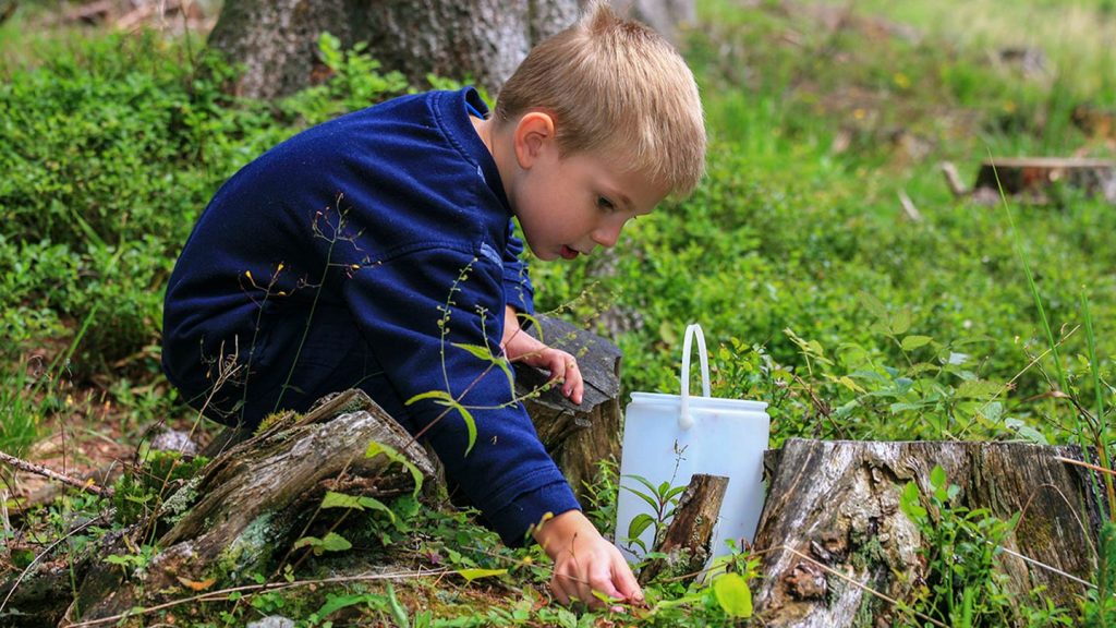 Scavenger Hunt group games for kids